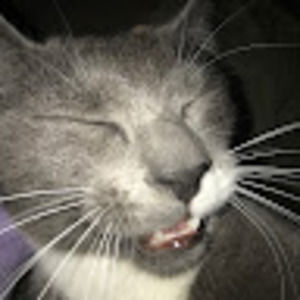 Meet your Posher, Camb0